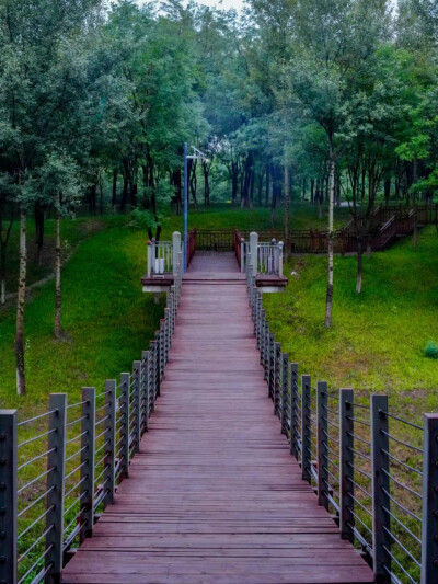 一叶落，天下秋，所有美好将随秋而至！ ​