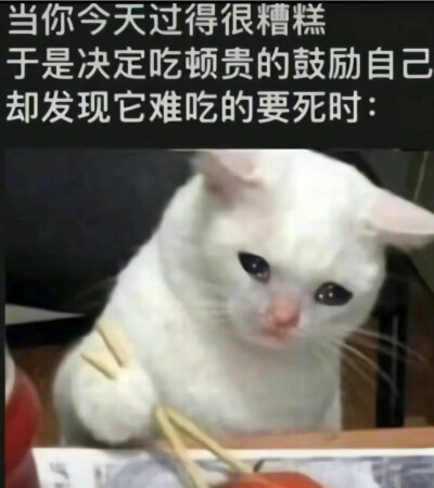 表情包