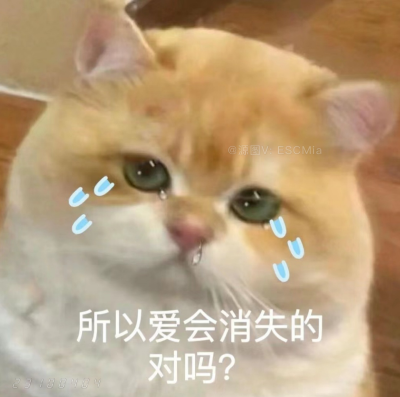 Share｜可爱猫咪表情包
-
没有谁离不开谁 鱼离开水也能烤着吃