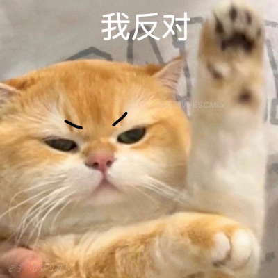 Share｜可爱猫咪表情包
-
没有谁离不开谁 鱼离开水也能烤着吃