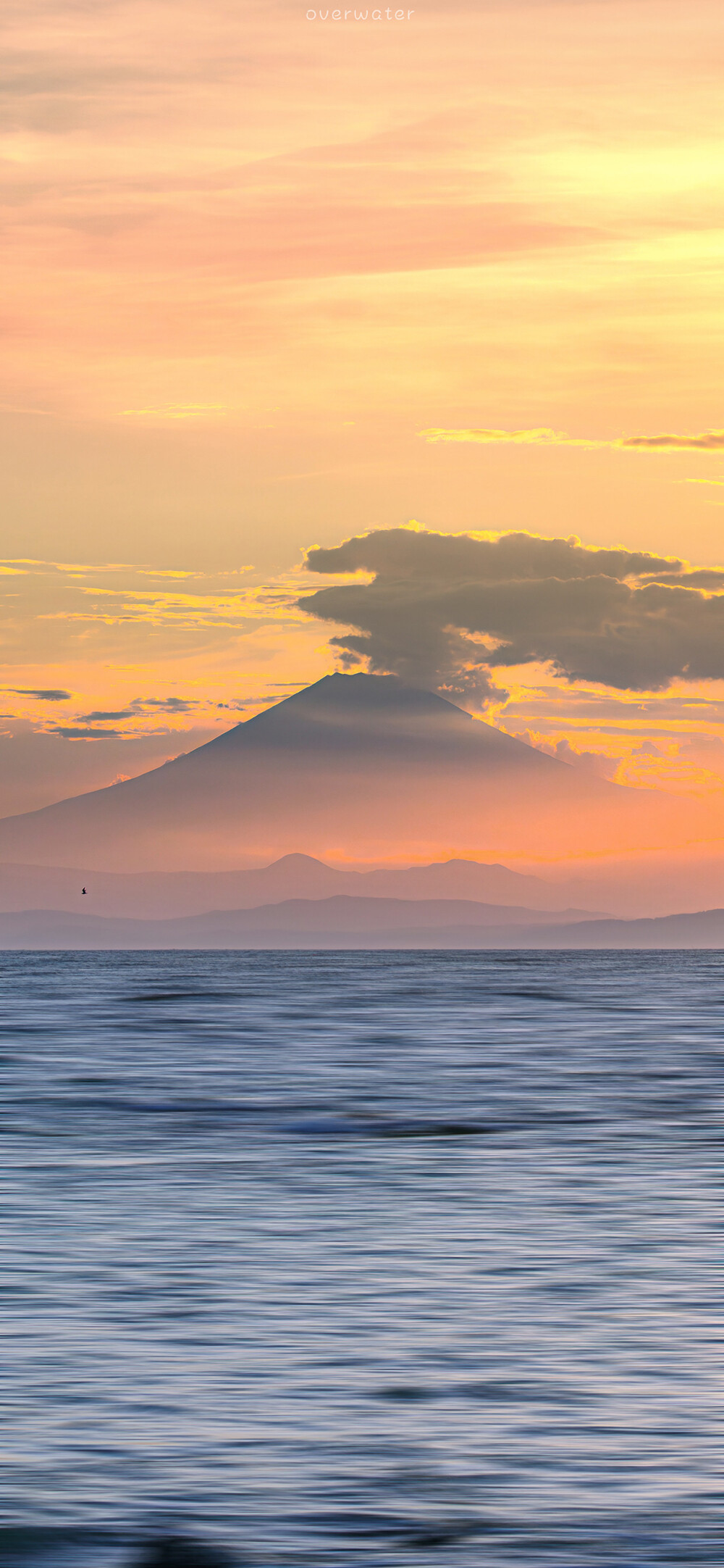 风景