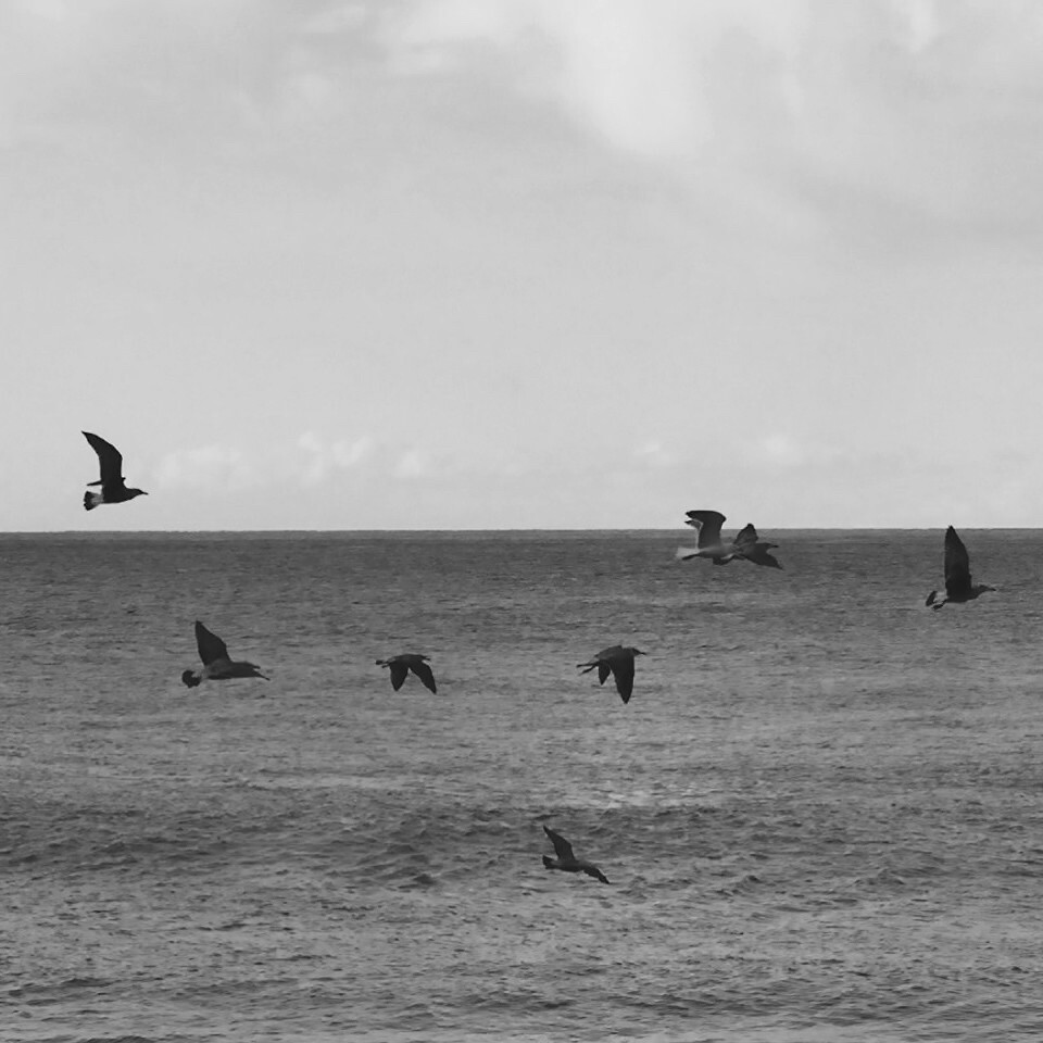 ...Point de pluie*巴黎铁塔、1865