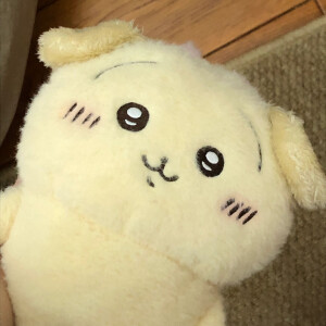 Chiikawa兔子乌萨奇◜   ̫  ◝ ​​​