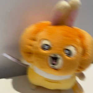 Chiikawa兔子乌萨奇◜   ̫  ◝ ​​​