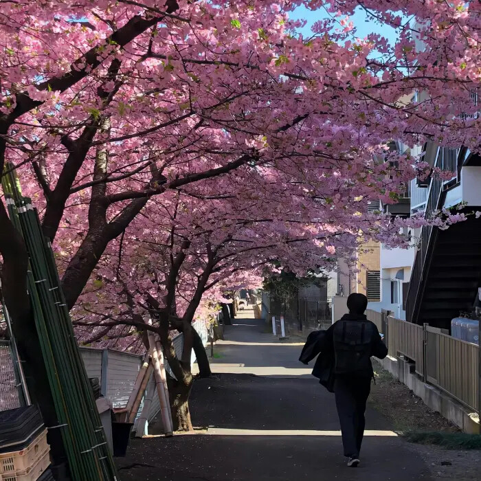 嫩粉泡影梦.背景图