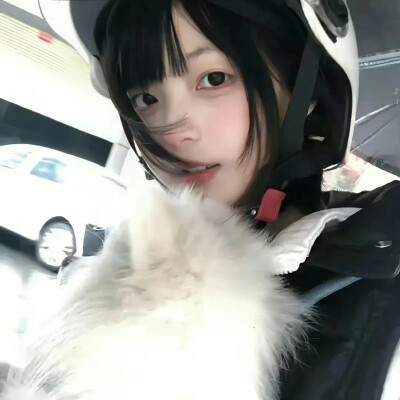 梦是见你的桥