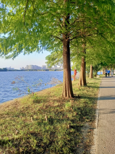 湖边风景