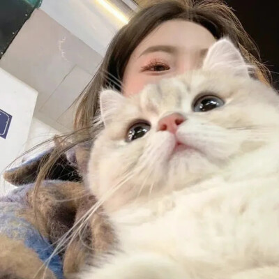 梦是见你的桥