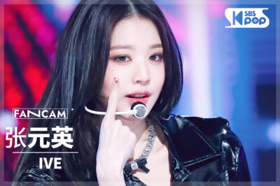 直拍封面┃张元英