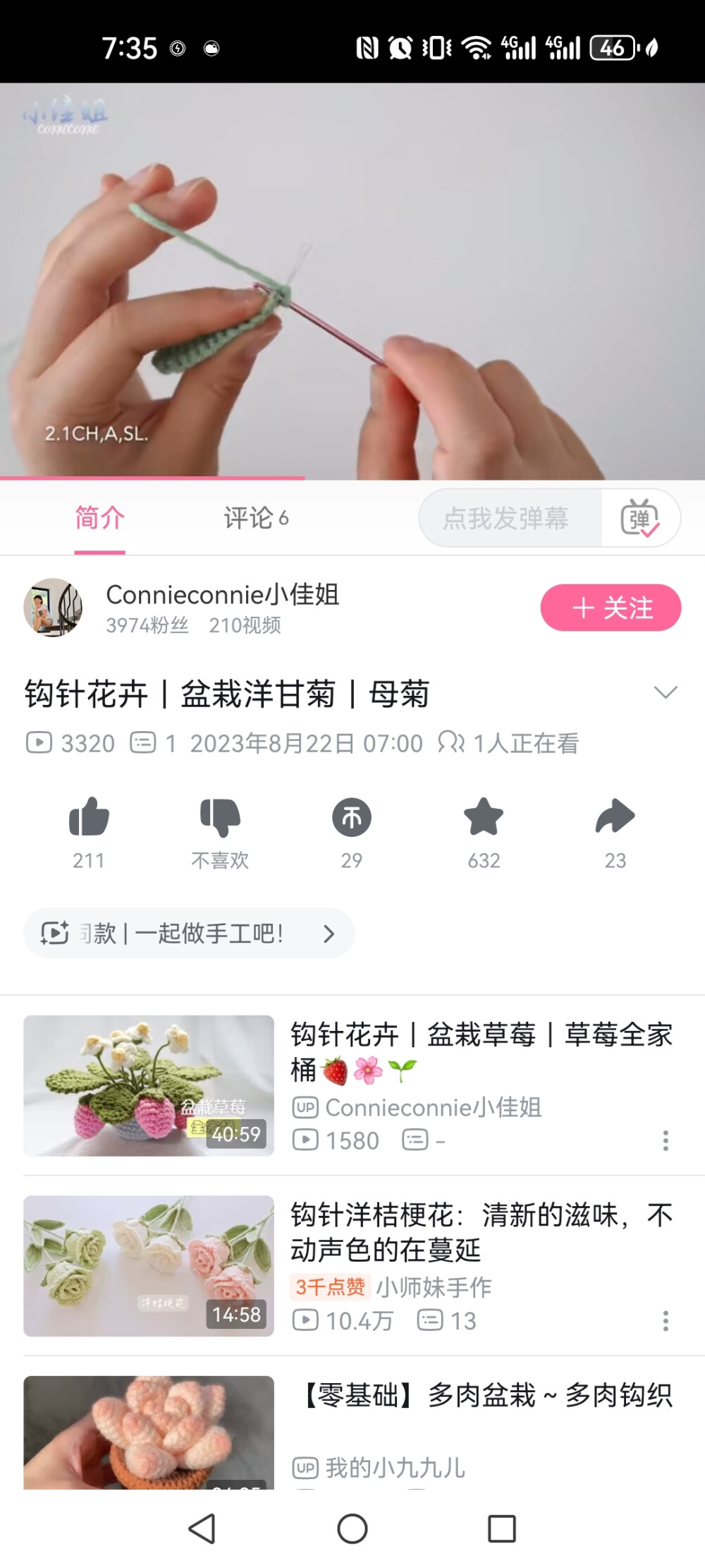 洋甘菊葉子