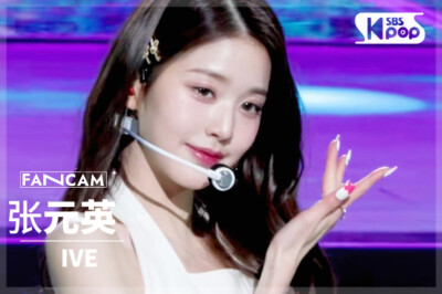 直拍封面┃张元英