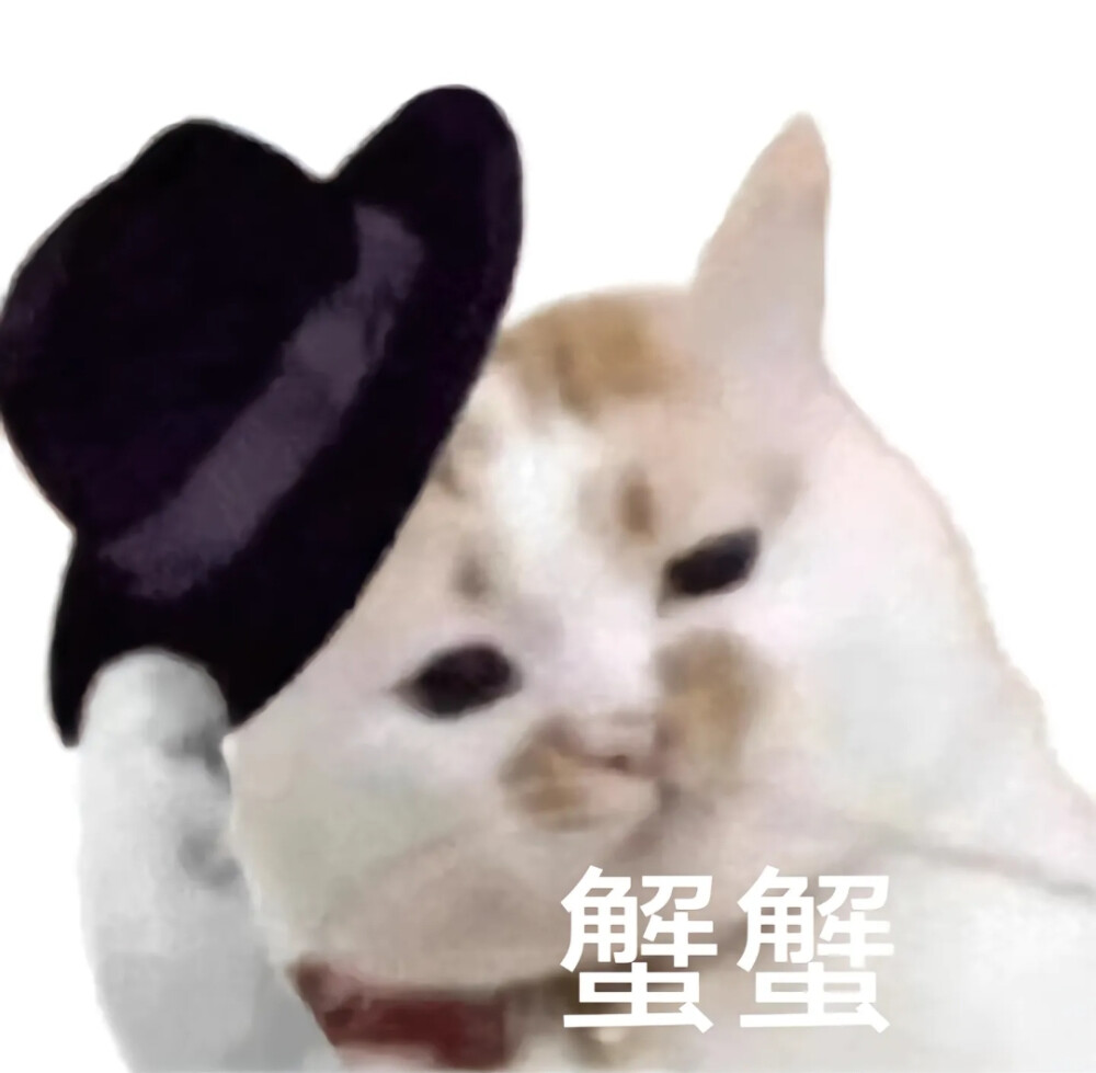 猫咪表情