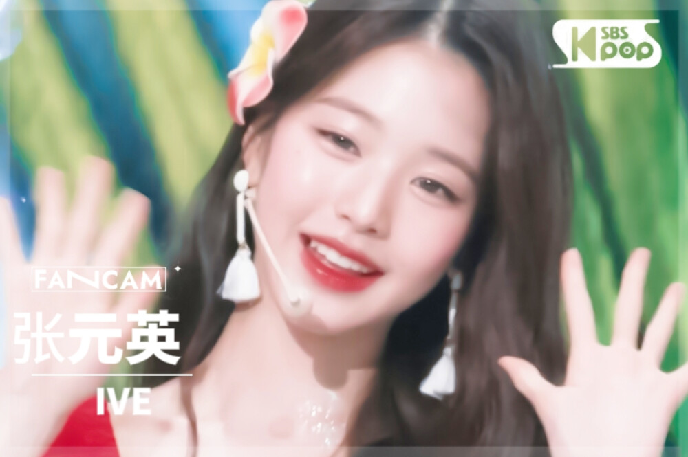 直拍封面┃张元英