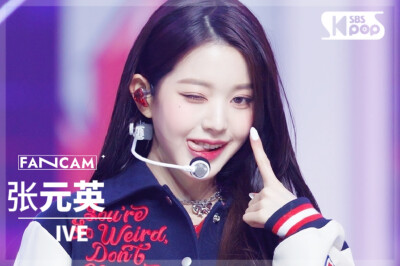 直拍封面┃张元英