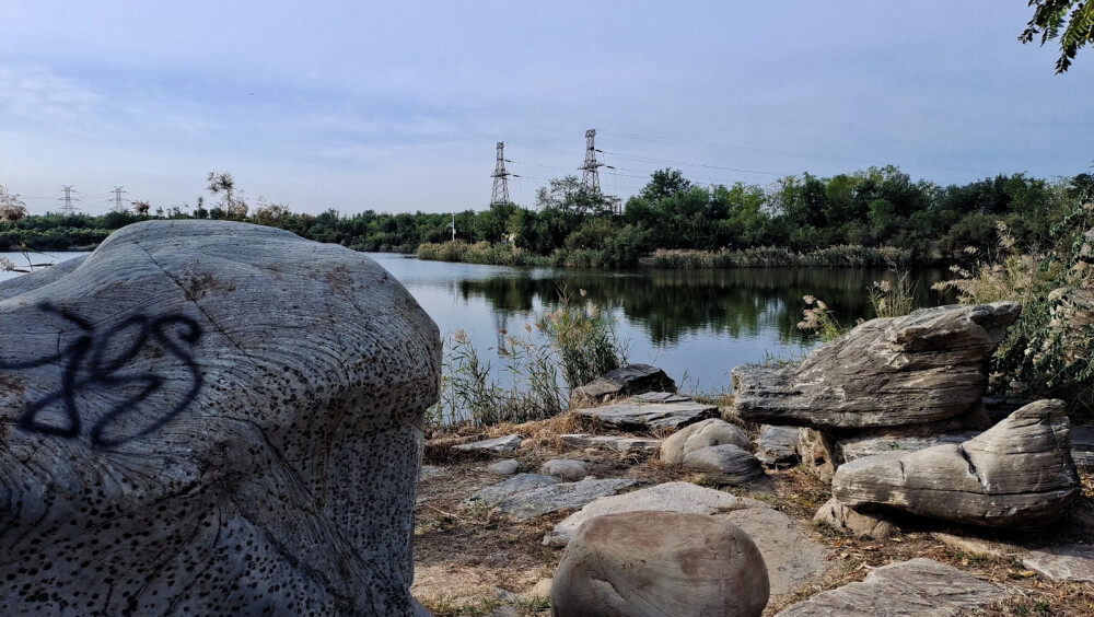 秋风带来所有美好。天津大港湿地公园，坐落在大港区南环路以南。植被林木环绕湿地湖水，桥梁各式建筑为人们提供方便，为旅游休闲娱乐而服务。画面中体现湖岸点缀各式景石，植被林环绕四周，远处铁塔设为画中的兴趣点。铁塔高压输电线路，为周边的多个（大港轻纺城工业园，工农村工业园，天津大港石化产业园，天津大港科技产业园，大港小古林工业园，大港石化园区）等工业区实施供电。