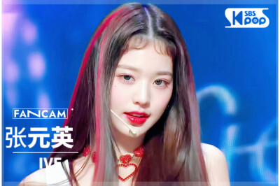 直拍封面┃张元英