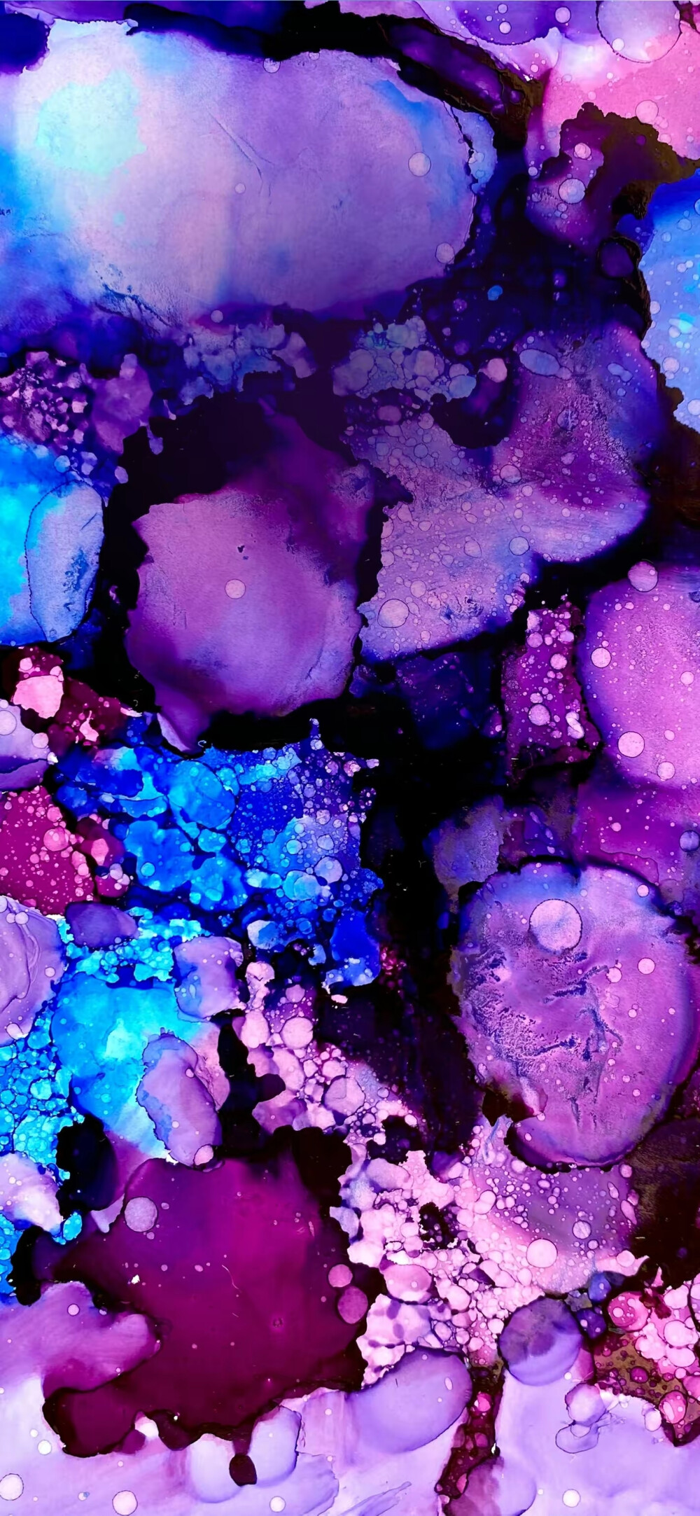 各种紫 - 高清图片,堆糖,美图壁纸兴趣社区