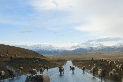 大西北旅游环线风景