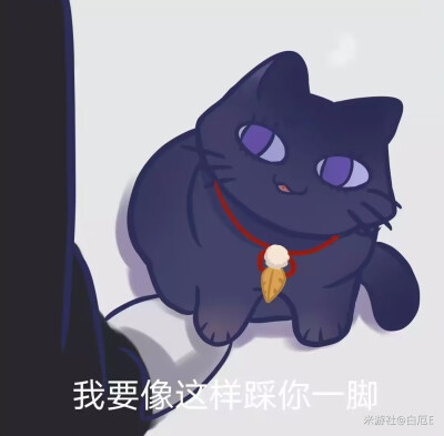 散猫