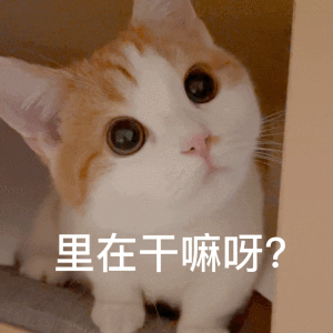 表情包