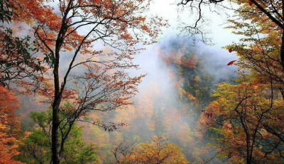 烟雨蒙蒙，乍暖还寒，纸素笺，染着五彩的颜色。一池水墨，画不出这斑斓的秋色！