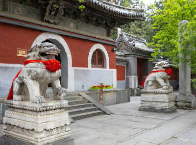 门头沟 戒台寺