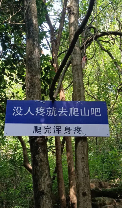 没人疼就去爬山，爬完浑身疼