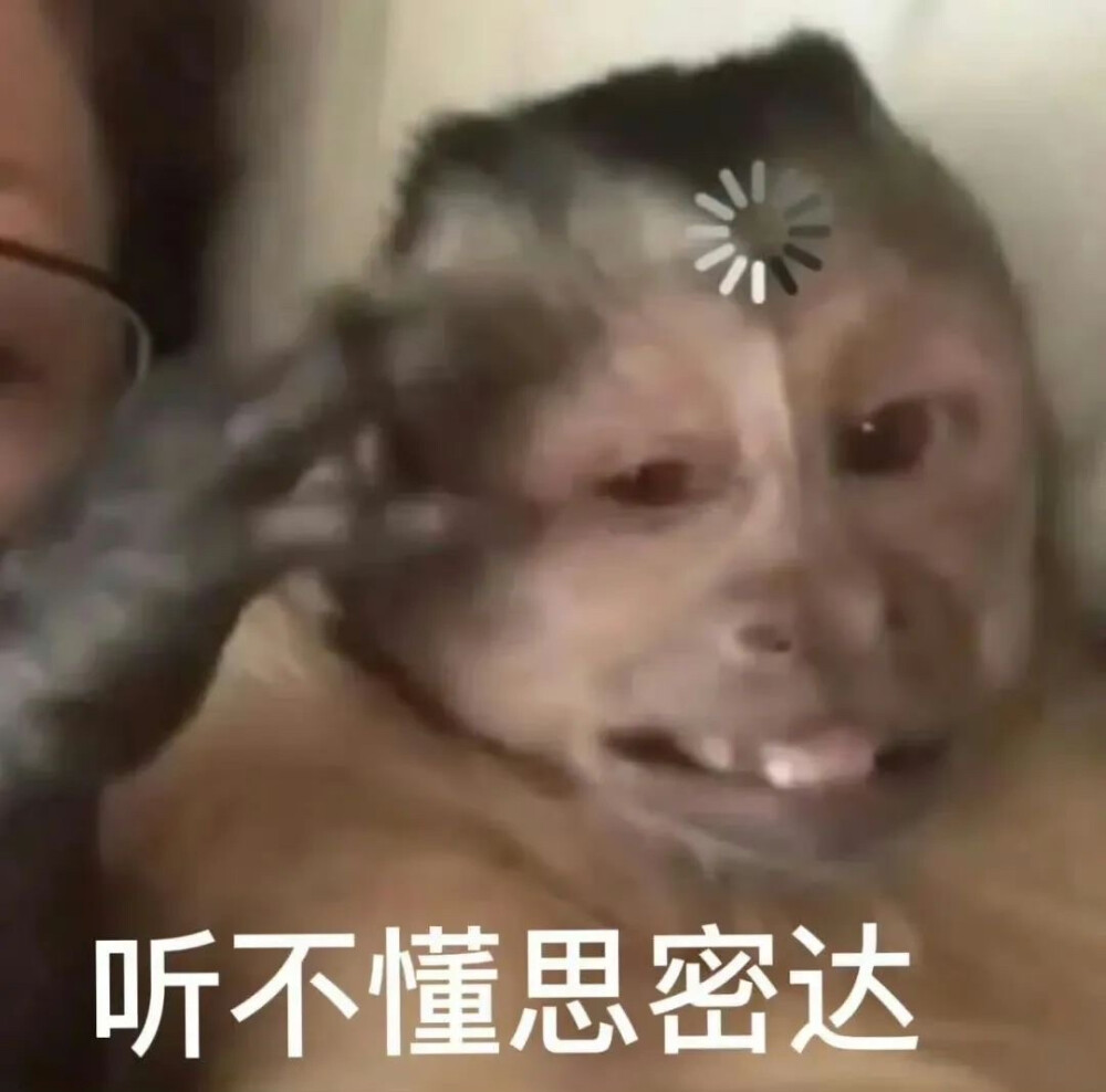 表情包