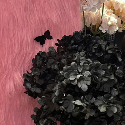 Black & Pink
#朋友圈背景图#