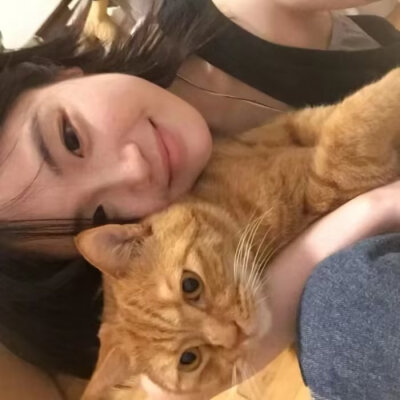 猫猫