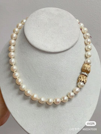 璀璨-小红书转载