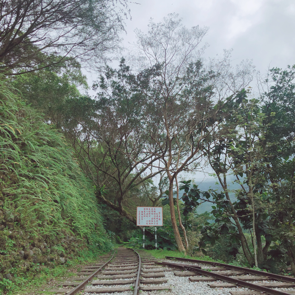 分享台湾的旅行风景