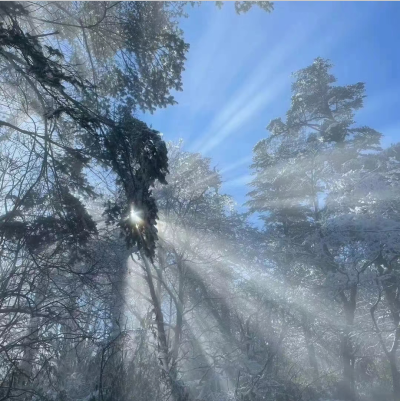 背景|世界 霧 蒙 蒙