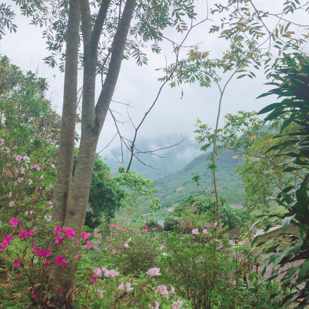 分享台湾的旅行风景