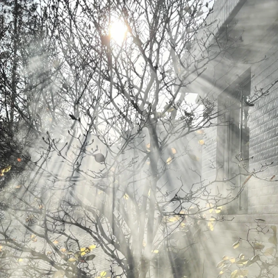 Moon ↑(望舒神)<Goodbye > '
新闻图