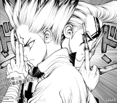 石纪元 Dr.Stone