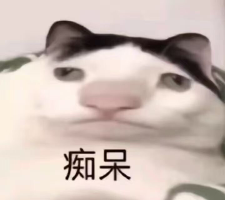 猫猫