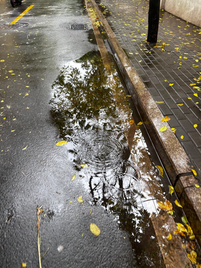 雨是神明落下的烟花