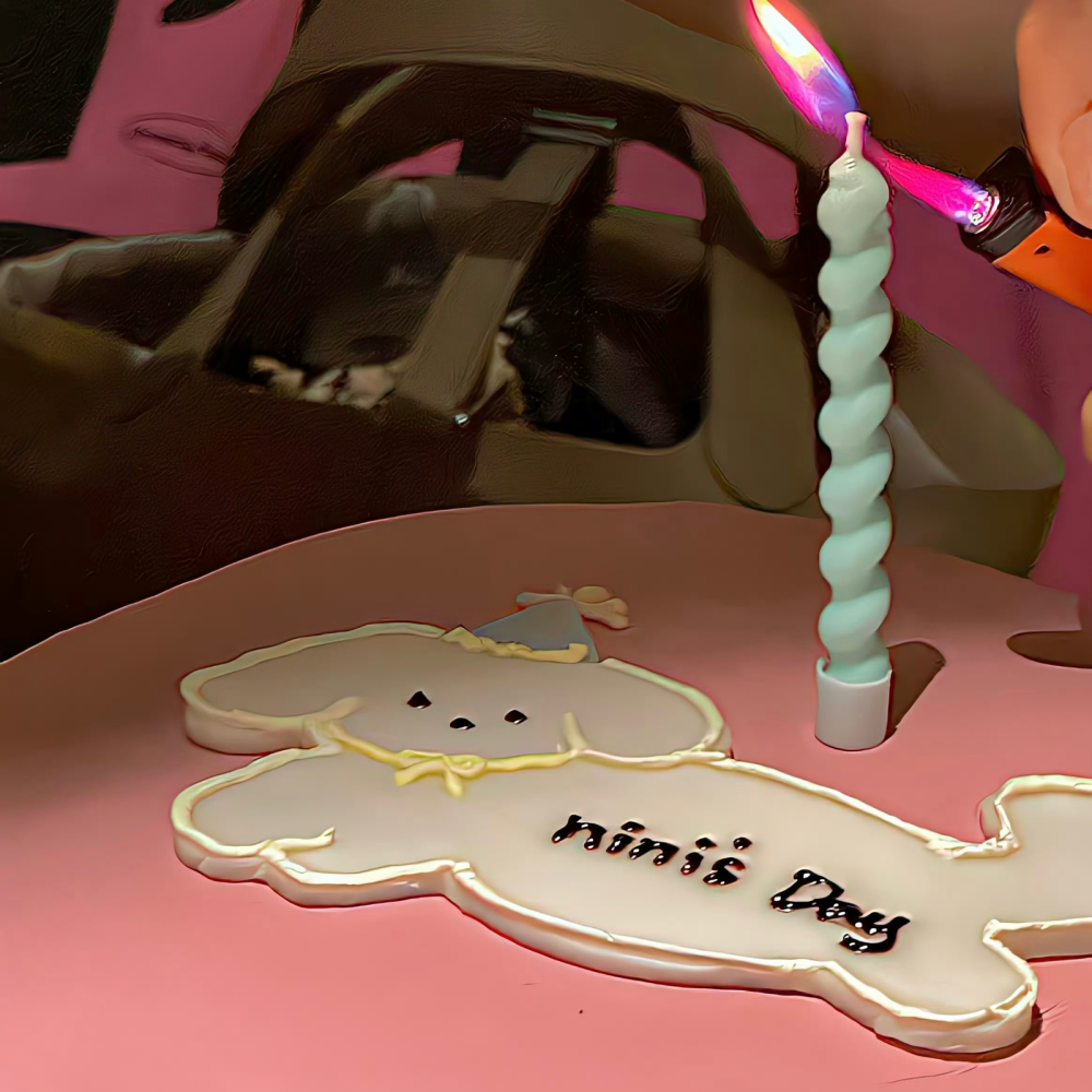 通往光明的路上布满荆棘与坎坷，请务必站直站稳，风雪过后，一起去看神明捧来新生的春。