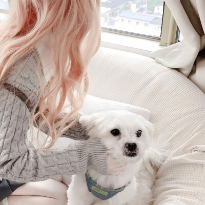 对象不是人系列～情头