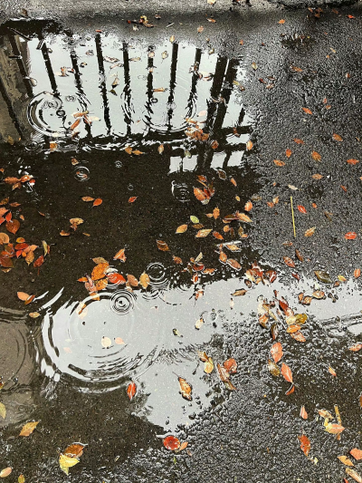 雨是神明落下的烟花