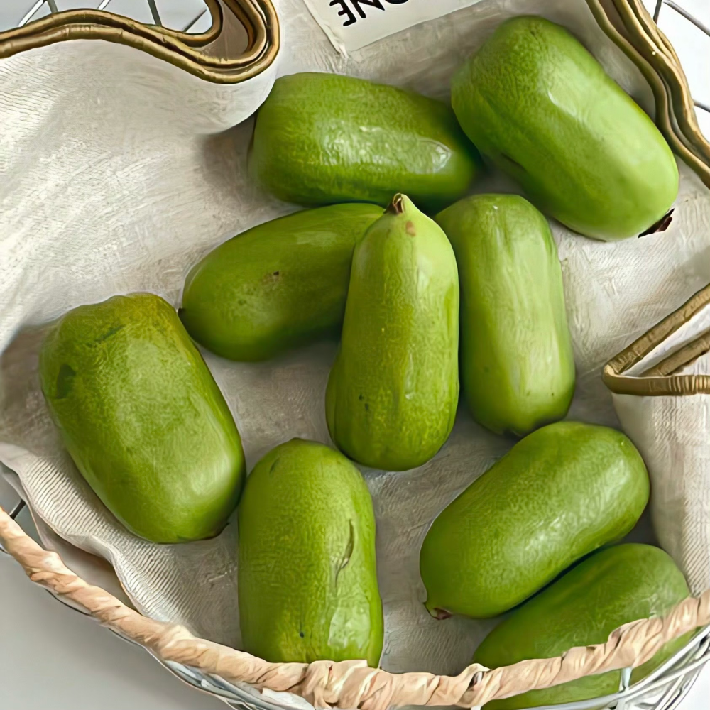 通往光明的路上布满荆棘与坎坷，请务必站直站稳，风雪过后，一起去看神明捧来新生的春。