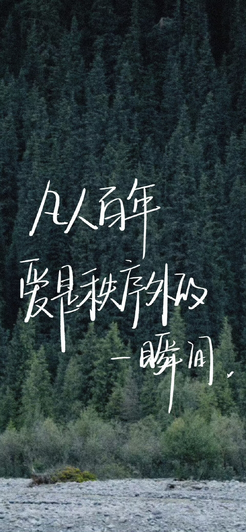 文字壁纸