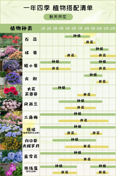 花草树木开花表