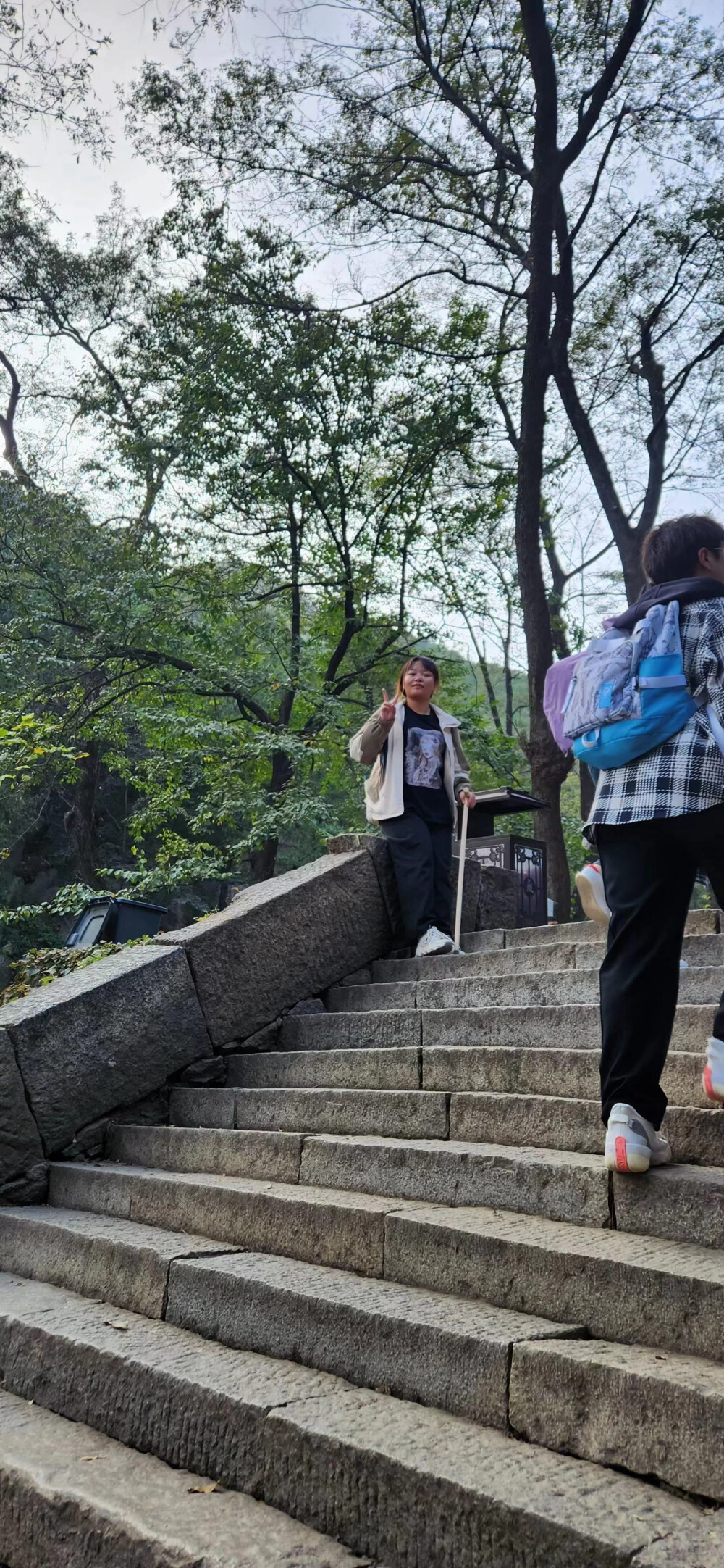 不知什么鸟
许愿池 假莲 红鱼 硬币
