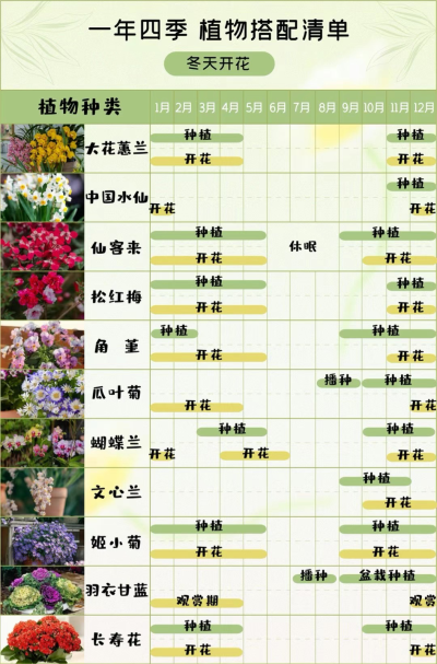 花草树木开花表