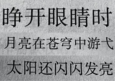 夏天将死的时候
我遇见了一只不会说爱的猫