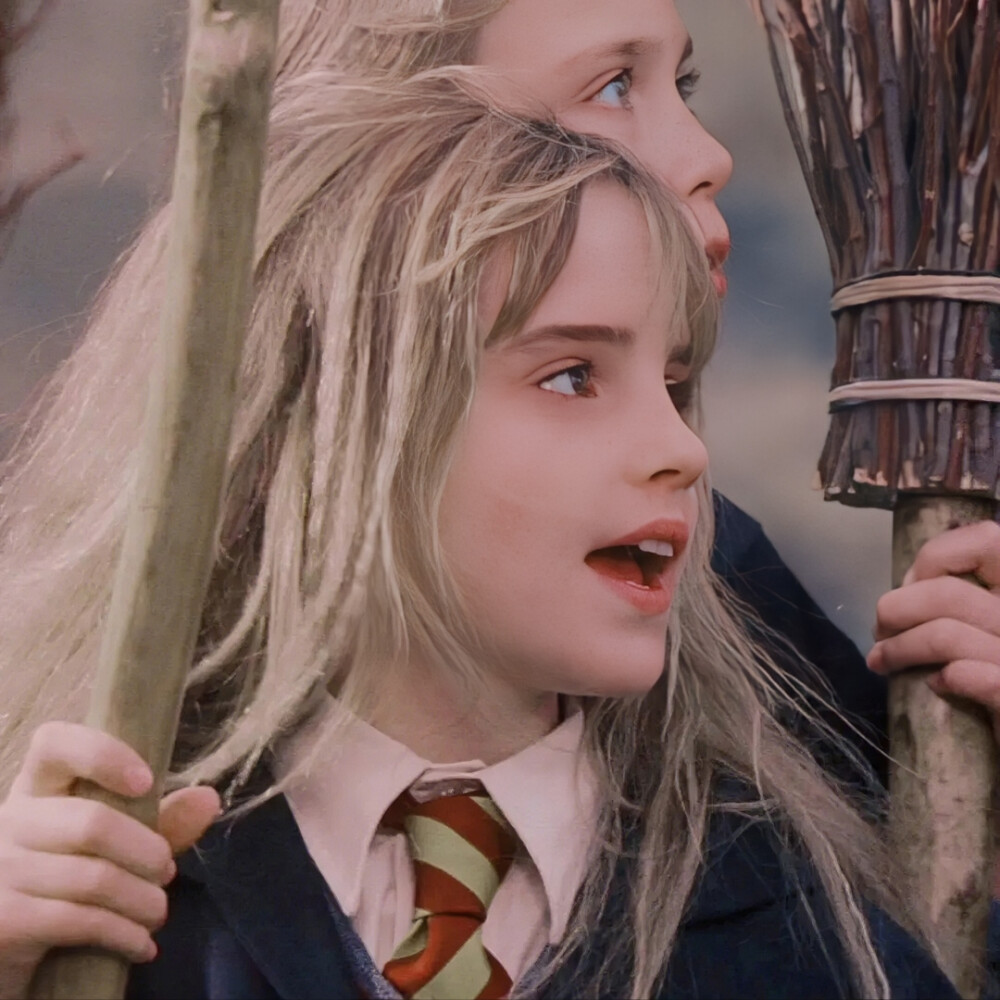 赫敏 | 头像⁺¹