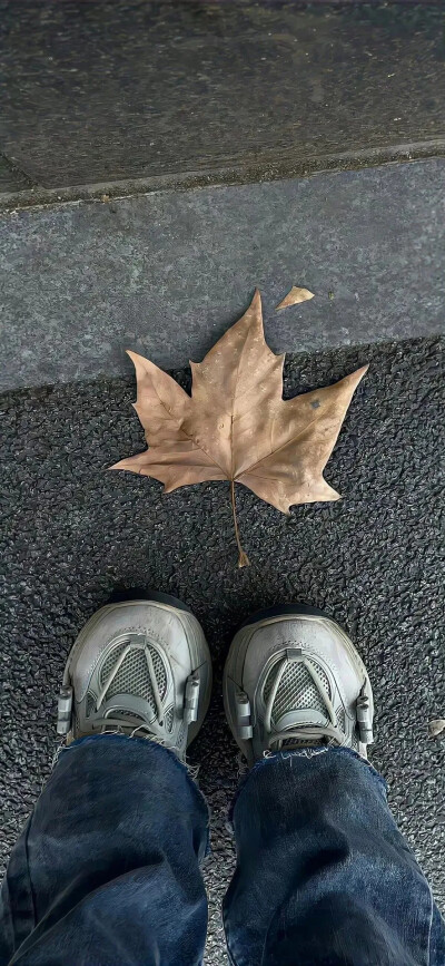 祝你鱼块⌯>ᴗ o⌯.ᐟ.ᐟ