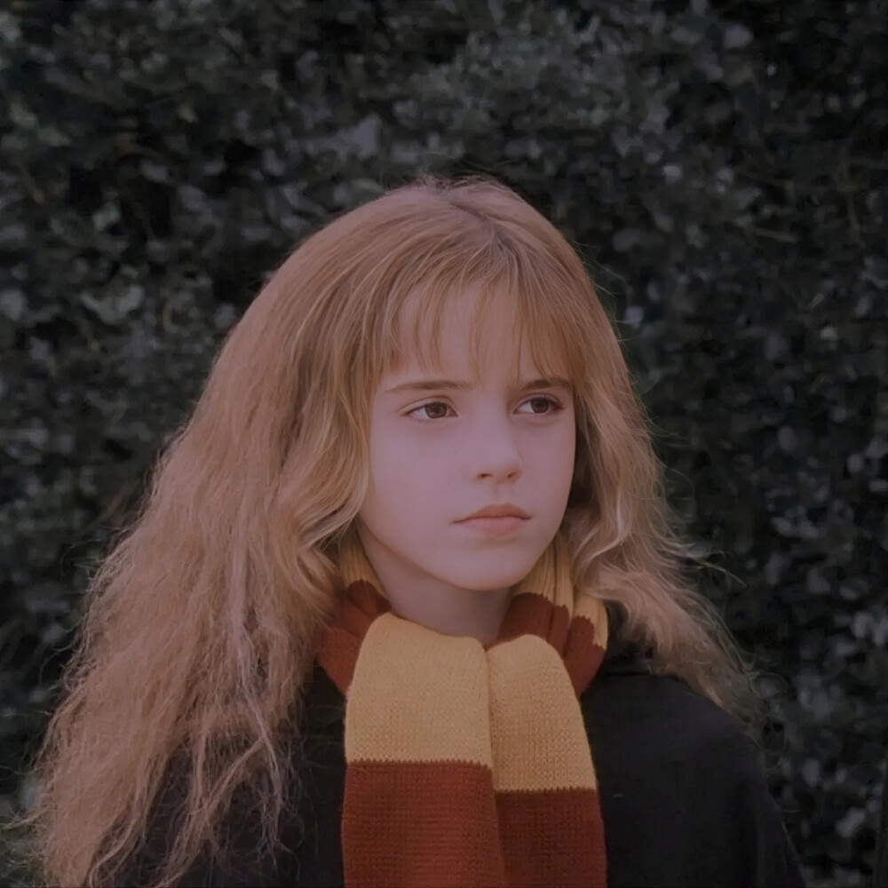 赫敏 | 头像⁺¹